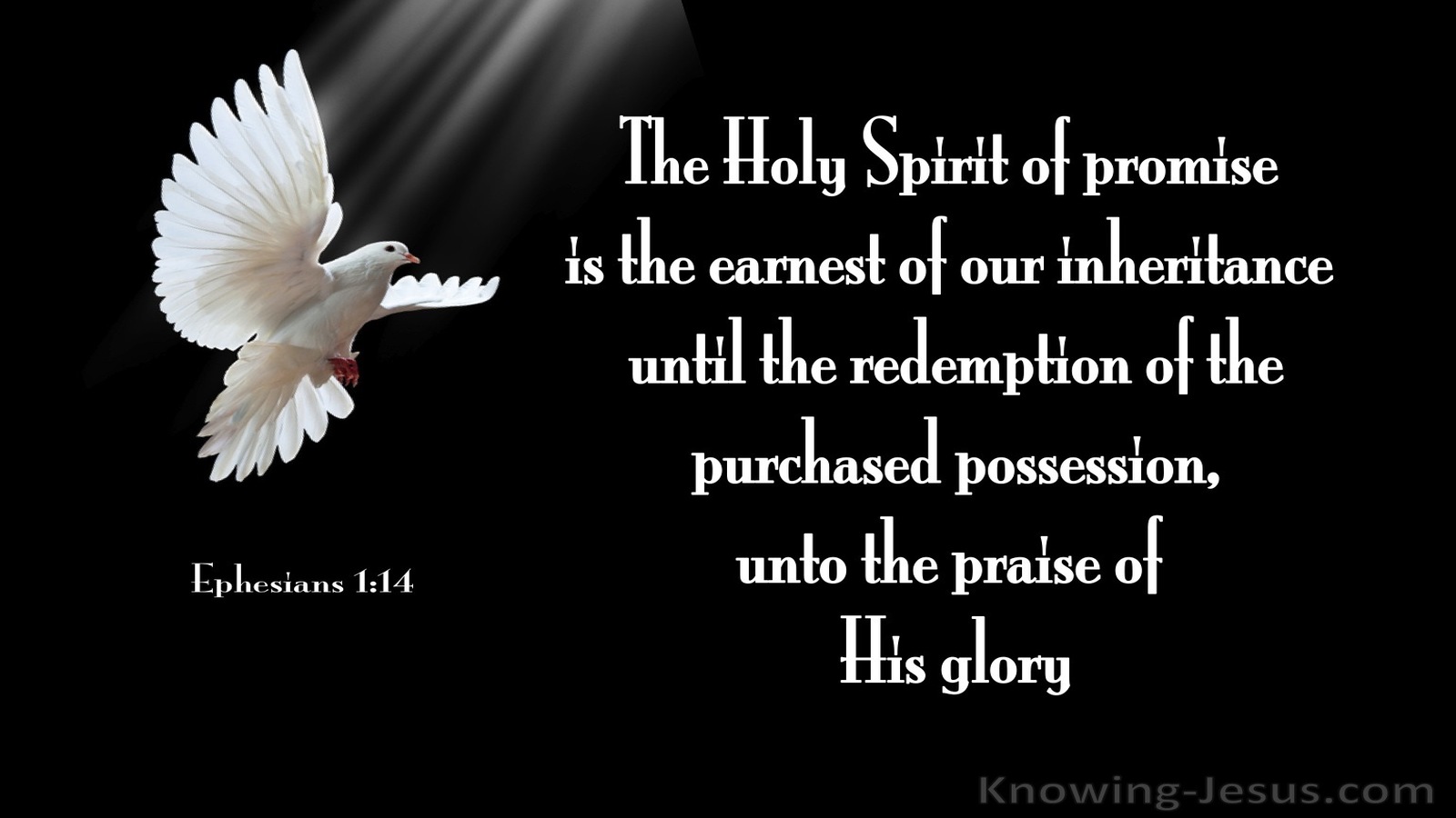 Ephesians 1:14 The Holy Spirit Of Promise (black)